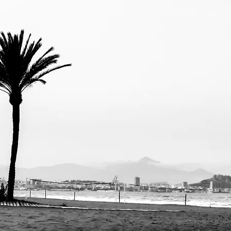 Brisa De Levante By Martina Suites El Altet Esterno foto